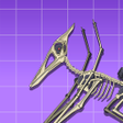 程序图标：Pterosaur Dino Fossils Ro…