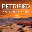 ไอคอนของโปรแกรม: Petrified Forest NP Audio…