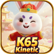 ไอคอนของโปรแกรม: K65 Kinetic