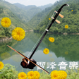 プログラムのアイコン：200 Erhu Music