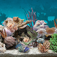 Иконка программы: 3D Aquarium Live Wallpape…