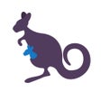 程序图标：KT Connect