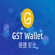 Icon of program: GST钱包