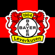 程序图标：Bayer 04 Leverkusen