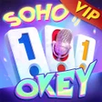 Programın simgesi: 101 Okey VIP