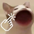 プログラムのアイコン：Pop Cat