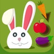 Ícone do programa: Shapes  Colors Learning G…
