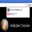 Programikonen: Website Checker