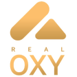 プログラムのアイコン：RealOxy