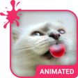 程序图标：Cat Love Live Wallpaper T…