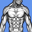 Icon of program: Home Workout: Fitness No Tools