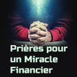 程序图标：Miracle dans mes finances