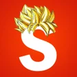 程序图标：Super Sayayin