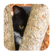 程序图标：Find The Cat