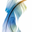 Icoon van programma: Adobe Creative Suite 2