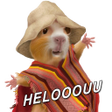 プログラムのアイコン：EcuaStickers Memes y fras…