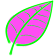 Icon of program: Imscope