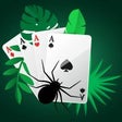 Icon of program: Jungle Spider