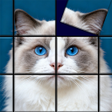 ไอคอนของโปรแกรม: Jigsolitaire: Anti Stress