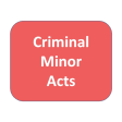 Criminal Minor Acts (Bare Acts)