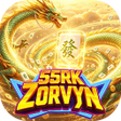 Icoon van programma: 55RKZORVYN