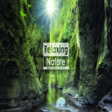 أيقونة البرنامج: Relaxing Nature