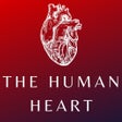 Icoon van programma: Heart Anatomy and Physiol…