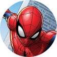 ไอคอนของโปรแกรม: Spider Man Wallpaper