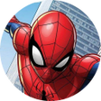أيقونة البرنامج: Spider Man Wallpaper