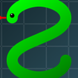 Ikon program: Snake Evolution