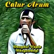 Lagu Catur Arum Banyuwangi