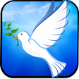 程序图标：Christian Devotions Ringt…