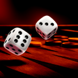 程序图标：Backgammon Dice