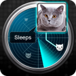 Radar What Makes Cat Joke icon