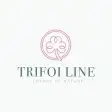 Trifoi Line