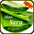 プログラムのアイコン：Home Remedies-Natural Tre…