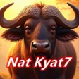 Programın simgesi: Nat Kyat7