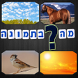 Icon of program: מה בתמונה