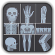 Icon of program: X-ray Interpretation for …