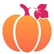 Ícone do programa: Pumpkin - find your vibe