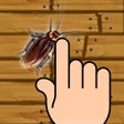 ไอคอนของโปรแกรม: Bug Smasher - Kids Games