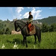 Icon of program: Allow horsemount if overl…