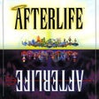 程序图标：Afterlife