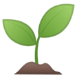 Programın simgesi: Eco prompt