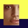 程序图标：LeeAI