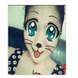プログラムのアイコン：funky face changer-Image …