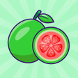 プログラムのアイコン：Guava VPN
