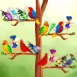 Bird Sorting : Color Puzzle