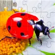 Insect Jigsaw Puzzle Game Kids