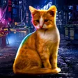 Иконка программы: Stray Cat Game City Simul…